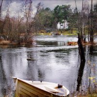 В конце сезона... :: Bosanat В конце сезона... :: Bosanat