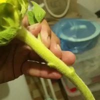 114 (194) :: CLOSE WAYS ALL