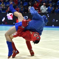 Боевое самбо :: Александр Гриднев Боевое самбо :: Александр Гриднев