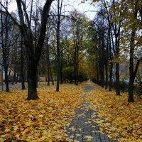 Сегодня вспомнилось такое :: Андрей Лукьянов Сегодня вспомнилось такое :: Андрей Лукьянов