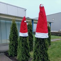 Туя принарядилась ) :: Veera V