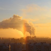 Сегодня радуга (то есть гало) подняла настроение :: Татьяна Лютаева