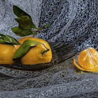 *** :: Aleksey Afonin *** :: Aleksey Afonin