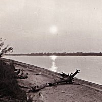 Знойный июль на Оби! :: Владимир 