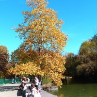 Осень золотая :: Валентин Семчишин Осень золотая :: Валентин Семчишин