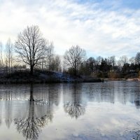 Предзимье. :: Милешкин Владимир Алексеевич 