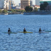 летние забавы :: Елена Шаламова