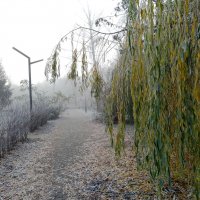 *** :: Валентина Береснева