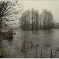 На озере.... :: Aleksandr Gal