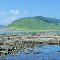 сбор морских ежиков :: ИРЭН@ . сбор морских ежиков :: ИРЭН@ .