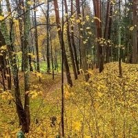 Щёлыково» - музей-заповедник А. Н. Островского :: Ольга Довженко Щёлыково» - музей-заповедник А. Н. Островского :: Ольга Довженко