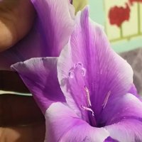 114 (196) :: CLOSE WAYS ALL