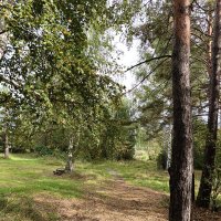 Осень :: ura Зелев