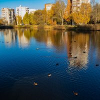 парк Александрино :: navalon M