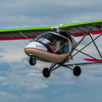 Птенец 2. :: Сергей Воротников