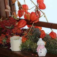 У окна :: Венера Чуйкова