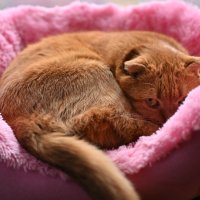 Моя прелесть :: Вадим Моя прелесть :: Вадим