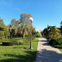 Адлер. Дендропарк "Южные культуры" :: Нина Бутко Адлер. Дендропарк "Южные культуры" :: Нина Бутко