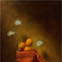 *** :: Oleg Rastorguev