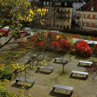 Скамейки Баден-Бадена :: Юрий. Шмаков