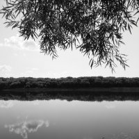 Фотография :: Денис Безногов