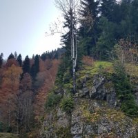 Абхазия :: Tata Wolf