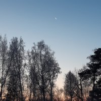 В ноябре рассветы дня :: Галина Минчук В ноябре рассветы дня :: Галина Минчук