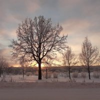 Вечернее :: Олег Загорулько