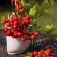 Летнего солнца тепло излучая.. :: Татьян@ Ивановна Летнего солнца тепло излучая.. :: Татьян@ Ивановна