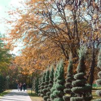 Аллея в парке Гагарина :: Валентин Семчишин Аллея в парке Гагарина :: Валентин Семчишин