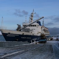 В зимней Гремихе :: Ольга 