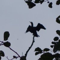 Магия монохрома :: Рита Симонова Магия монохрома :: Рита Симонова