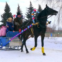 Когда-то мы на Катерину-санницу на саночках катались... :: Андрей Заломленков Когда-то мы на Катерину-санницу на саночках катались... :: Андрей Заломленков