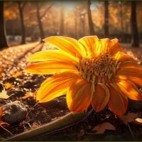 Осеннее ... :: Валентина Надсон Осеннее ... :: Валентина Надсон