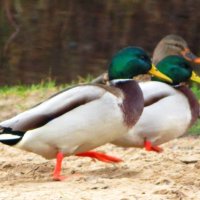 Шагают строем :: Андрей Снегерёв Шагают строем :: Андрей Снегерёв