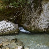Природа Крыма :: Amazing Cosmea Природа Крыма :: Amazing Cosmea