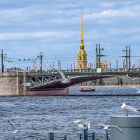 Санкт-Петербург, Дворцовый мост, Петропавловский шпиль :: Стальбаум Юрий Санкт-Петербург, Дворцовый мост, Петропавловский шпиль :: Стальбаум Юрий