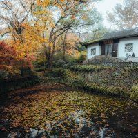 Парк "Источник Хупао," или "Источник тигра" :: Дмитрий