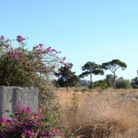 Турция район Кемер :: Gen Vel Турция район Кемер :: Gen Vel