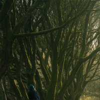 Поздняя осень :: Michel