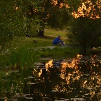 Утренняя рыбалка. :: Василий Палий Утренняя рыбалка. :: Василий Палий