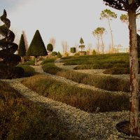 Елки палки! :: Юрий Полторыхин. Елки палки! :: Юрий Полторыхин.