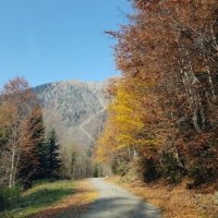 Абхазия :: Tata Wolf