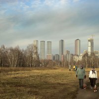 Ноябрь продолжается. :: Николай Ноябрь продолжается. :: Николай