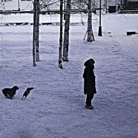 Декабрь...Игривые песики! :: Владимир 