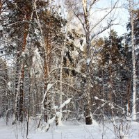 В парке :: Галина Нестратова В парке :: Галина Нестратова
