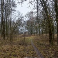 ___ :: Yuriy V ___ :: Yuriy V