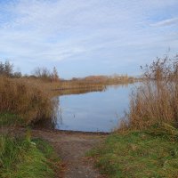 Осенний пейзаж :: Рита Симонова Осенний пейзаж :: Рита Симонова