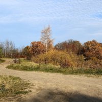 Осенний пейзаж :: Рита Симонова Осенний пейзаж :: Рита Симонова