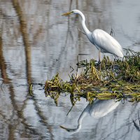 Гляжу в озёра синие :: Alexandеr P Гляжу в озёра синие :: Alexandеr P